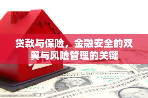 德庆贷款与保险，金融安全的双翼与风险管理的关键