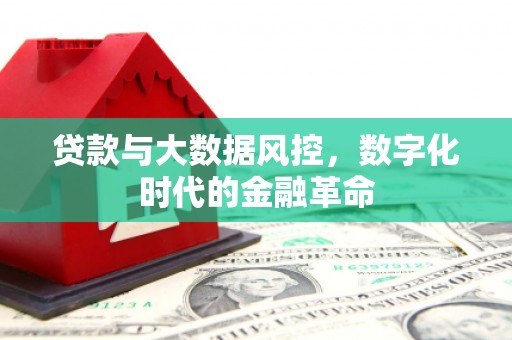 德庆贷款与大数据风控，数字化时代的金融革命