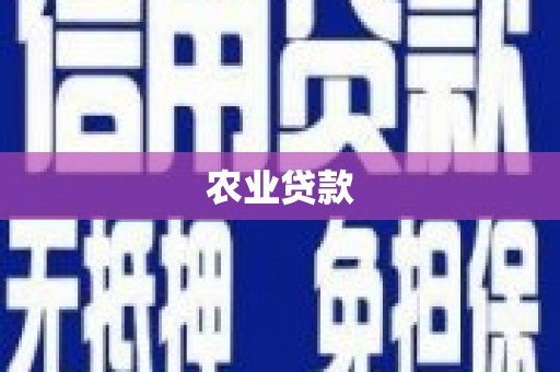 德庆农业贷款