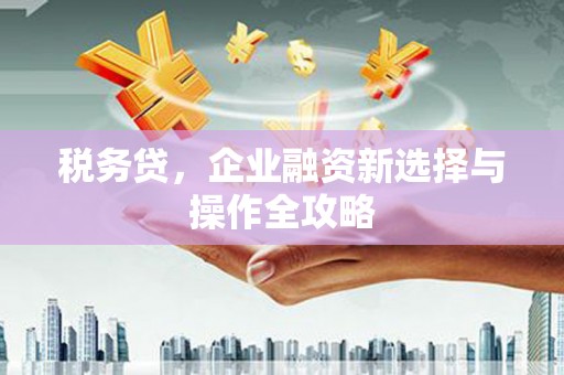 德庆税务贷，企业融资新选择与操作全攻略