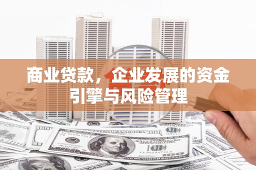 德庆商业贷款，企业发展的资金引擎与风险管理