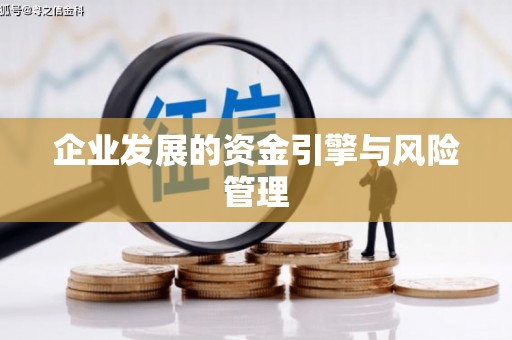 德庆企业发展的资金引擎与风险管理