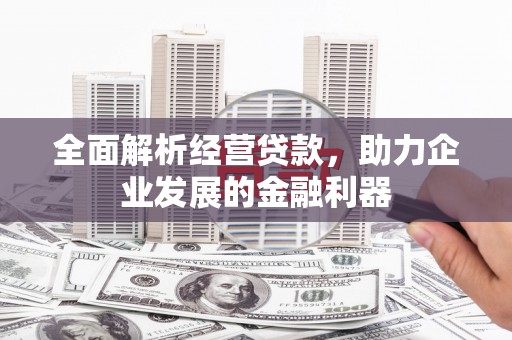 德庆全面解析经营贷款，助力企业发展的金融利器
