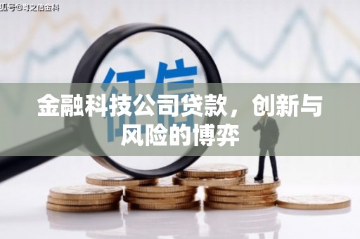 德庆金融科技公司贷款，创新与风险的博弈
