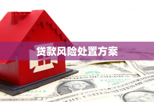 德庆贷款风险处置方案