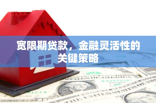 德庆宽限期贷款，金融灵活性的关键策略