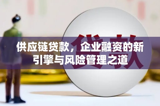 德庆供应链贷款，企业融资的新引擎与风险管理之道