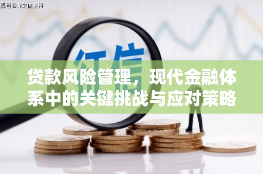 德庆贷款风险管理，现代金融体系中的关键挑战与应对策略