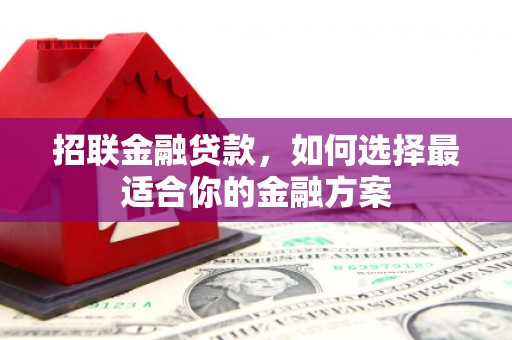 德庆招联金融贷款，如何选择最适合你的金融方案