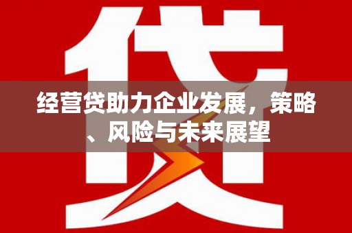 德庆经营贷助力企业发展，策略、风险与未来展望