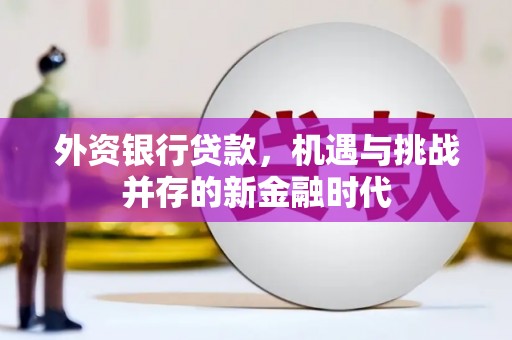 德庆外资银行贷款，机遇与挑战并存的新金融时代