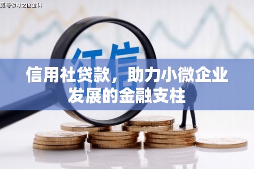 德庆信用社贷款，助力小微企业发展的金融支柱