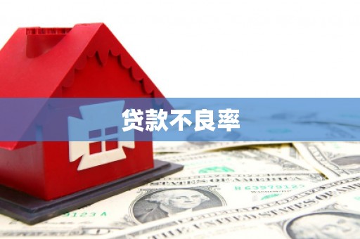 德庆贷款不良率