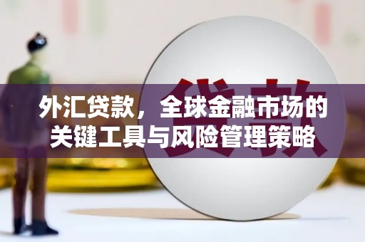 德庆外汇贷款，全球金融市场的关键工具与风险管理策略