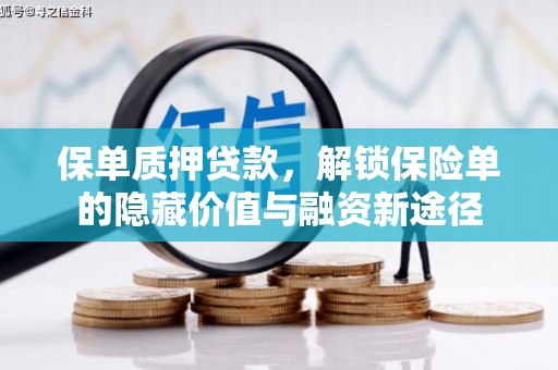 德庆保单质押贷款，解锁保险单的隐藏价值与融资新途径