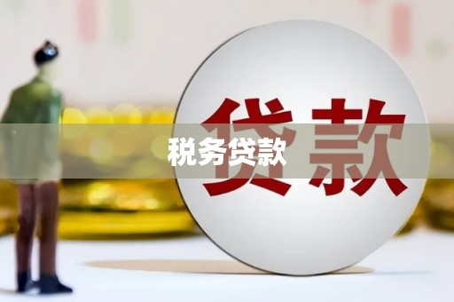 德庆税务贷款