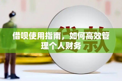 德庆借呗使用指南，如何高效管理个人财务