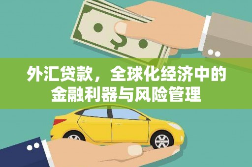 德庆外汇贷款，全球化经济中的金融利器与风险管理
