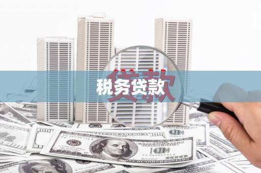 德庆税务贷款