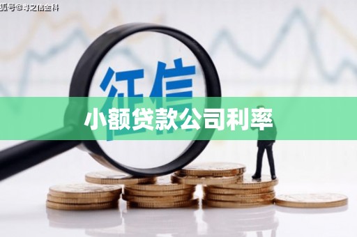 德庆小额贷款公司利率