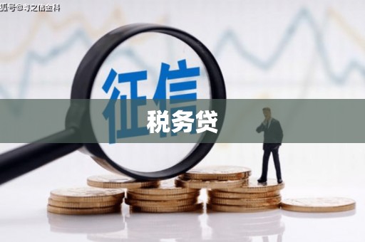德庆税务贷