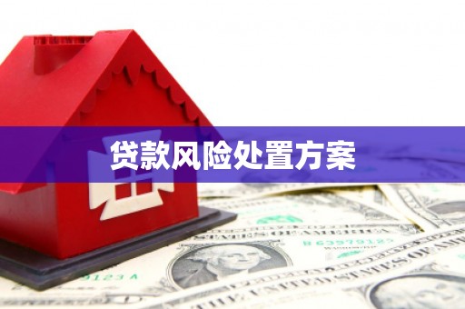 德庆贷款风险处置方案