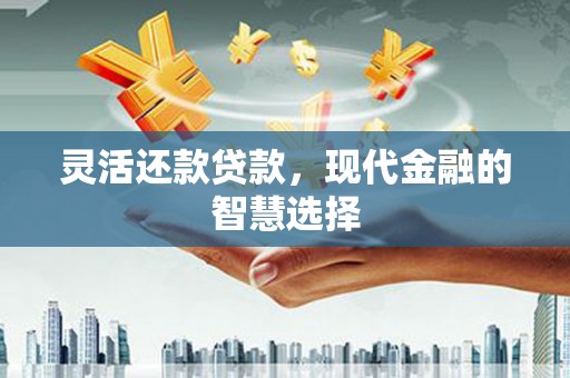德庆灵活还款贷款，现代金融的智慧选择
