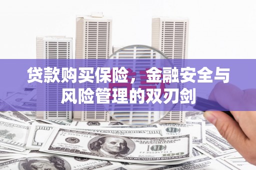 德庆贷款购买保险，金融安全与风险管理的双刃剑