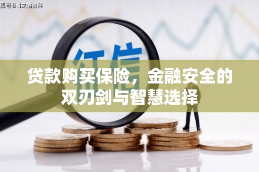 德庆贷款购买保险，金融安全的双刃剑与智慧选择