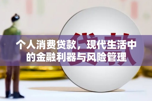 德庆个人消费贷款，现代生活中的金融利器与风险管理