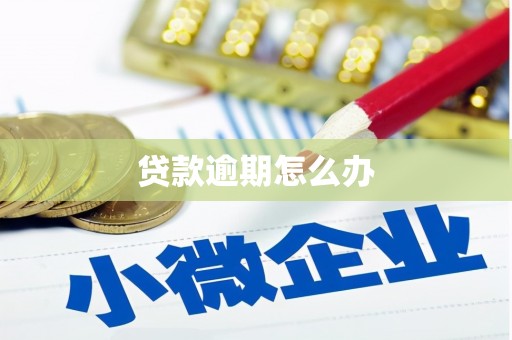德庆贷款逾期怎么办