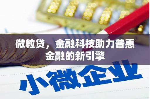 德庆微粒贷，金融科技助力普惠金融的新引擎