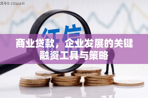 德庆商业贷款，企业发展的关键融资工具与策略
