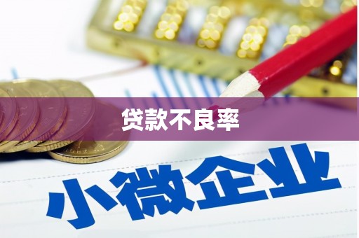 德庆贷款不良率