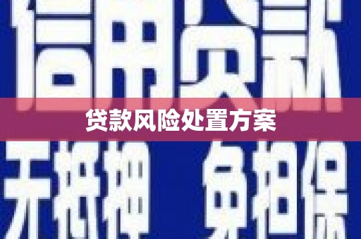 德庆贷款风险处置方案