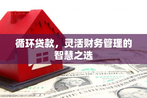 德庆循环贷款，灵活财务管理的智慧之选