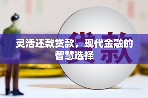 德庆灵活还款贷款，现代金融的智慧选择