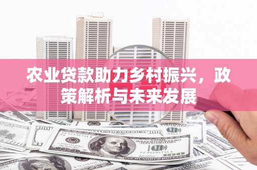 德庆农业贷款助力乡村振兴，政策解析与未来发展