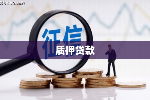 德庆质押贷款