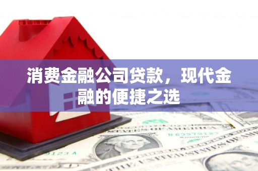 德庆消费金融公司贷款，现代金融的便捷之选