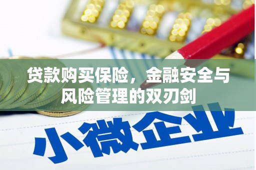 德庆贷款购买保险，金融安全与风险管理的双刃剑