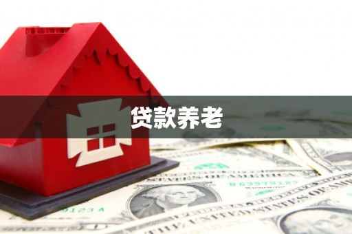 德庆贷款养老