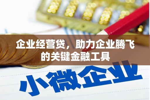 德庆企业经营贷，助力企业腾飞的关键金融工具