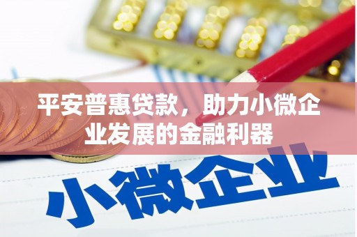德庆平安普惠贷款，助力小微企业发展的金融利器