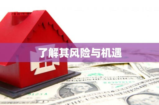 德庆了解其风险与机遇