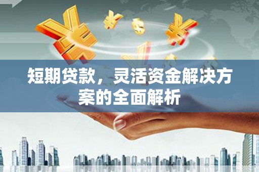 德庆短期贷款，灵活资金解决方案的全面解析