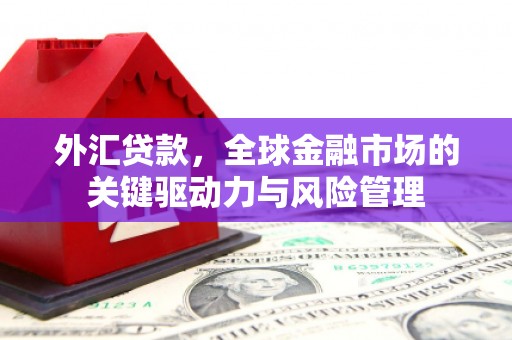 德庆外汇贷款，全球金融市场的关键驱动力与风险管理