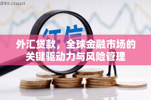 德庆外汇贷款，全球金融市场的关键驱动力与风险管理