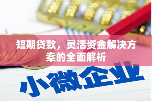 德庆短期贷款，灵活资金解决方案的全面解析