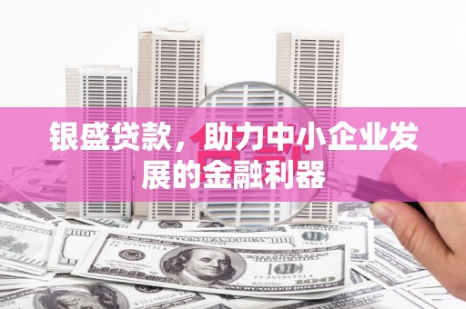 德庆银盛贷款，助力中小企业发展的金融利器